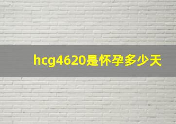 hcg4620是怀孕多少天