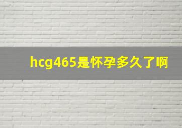 hcg465是怀孕多久了啊