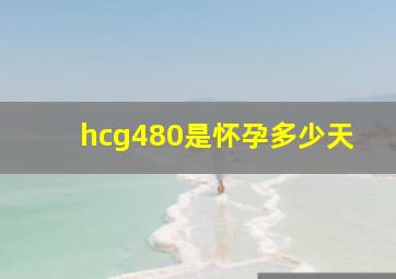 hcg480是怀孕多少天