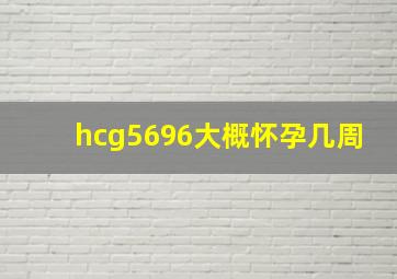 hcg5696大概怀孕几周