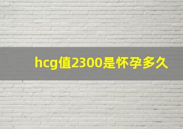 hcg值2300是怀孕多久