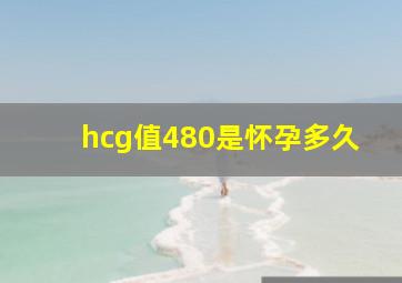 hcg值480是怀孕多久