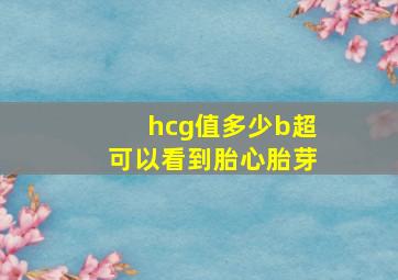 hcg值多少b超可以看到胎心胎芽