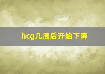 hcg几周后开始下降