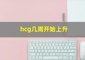 hcg几周开始上升