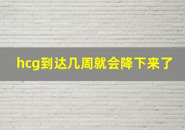 hcg到达几周就会降下来了