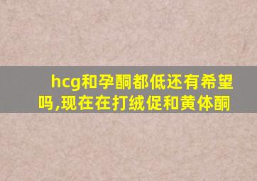 hcg和孕酮都低还有希望吗,现在在打绒促和黄体酮