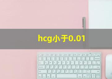 hcg小于0.01