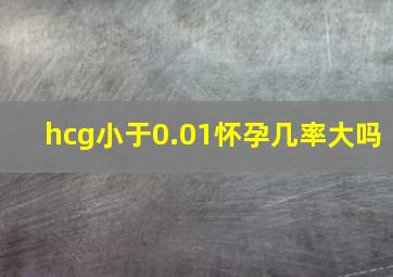 hcg小于0.01怀孕几率大吗