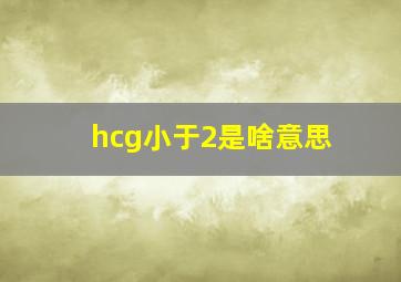 hcg小于2是啥意思