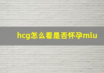 hcg怎么看是否怀孕mlu