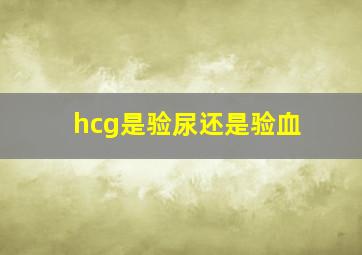 hcg是验尿还是验血