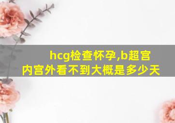 hcg检查怀孕,b超宫内宫外看不到大概是多少天