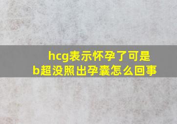 hcg表示怀孕了可是b超没照出孕囊怎么回事