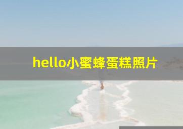 hello小蜜蜂蛋糕照片