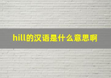 hill的汉语是什么意思啊