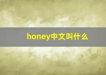 honey中文叫什么