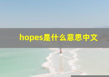 hopes是什么意思中文