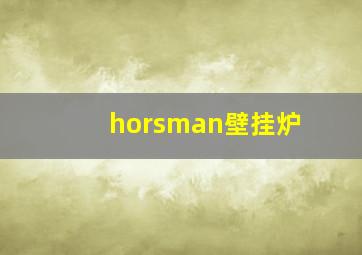 horsman壁挂炉