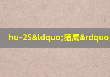 hu-25“猎鹰”巡逻机