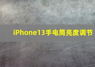 iPhone13手电筒亮度调节