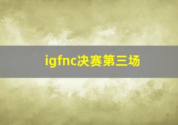 igfnc决赛第三场