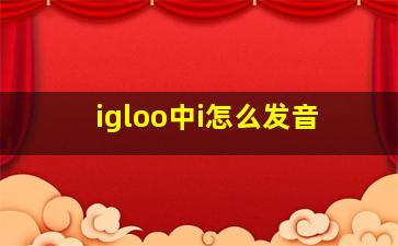 igloo中i怎么发音