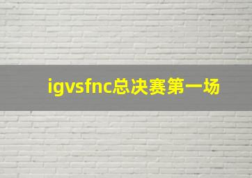 igvsfnc总决赛第一场