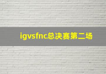 igvsfnc总决赛第二场