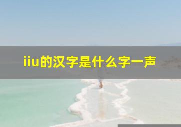 iiu的汉字是什么字一声