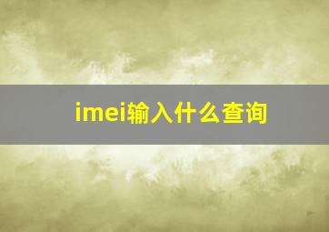 imei输入什么查询