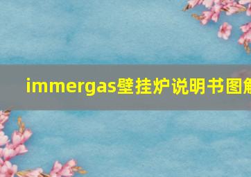 immergas壁挂炉说明书图解