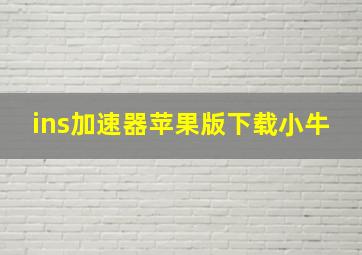 ins加速器苹果版下载小牛