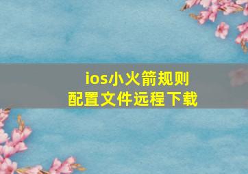 ios小火箭规则配置文件远程下载