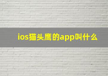 ios猫头鹰的app叫什么