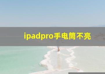 ipadpro手电筒不亮