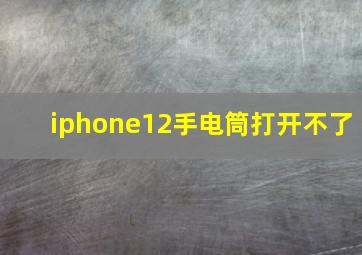 iphone12手电筒打开不了