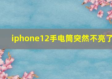 iphone12手电筒突然不亮了