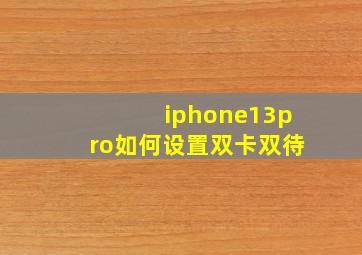 iphone13pro如何设置双卡双待