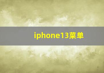 iphone13菜单