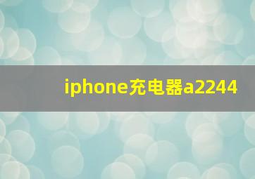 iphone充电器a2244