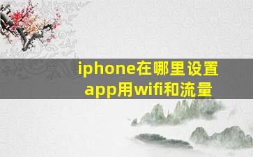 iphone在哪里设置app用wifi和流量