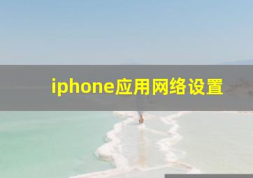 iphone应用网络设置