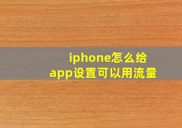 iphone怎么给app设置可以用流量