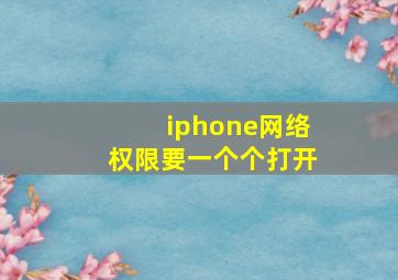 iphone网络权限要一个个打开