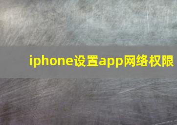 iphone设置app网络权限