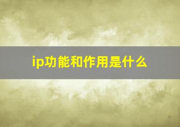 ip功能和作用是什么