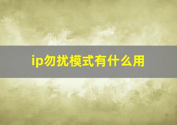 ip勿扰模式有什么用