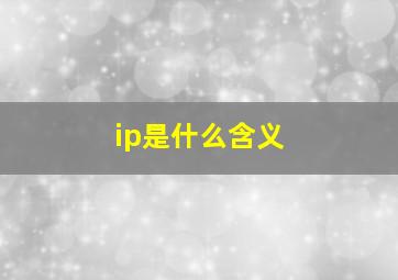 ip是什么含义