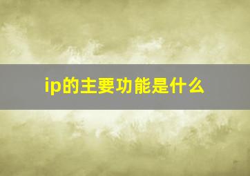 ip的主要功能是什么